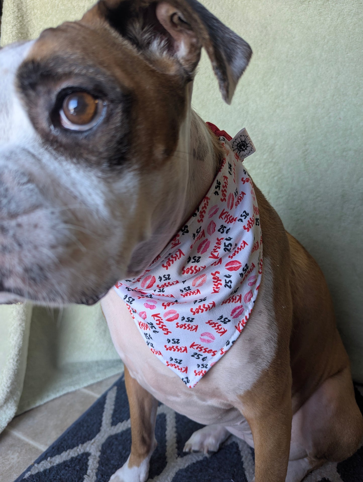 25¢ Kisses Valentine's Day Scrunchie Pet Bandana