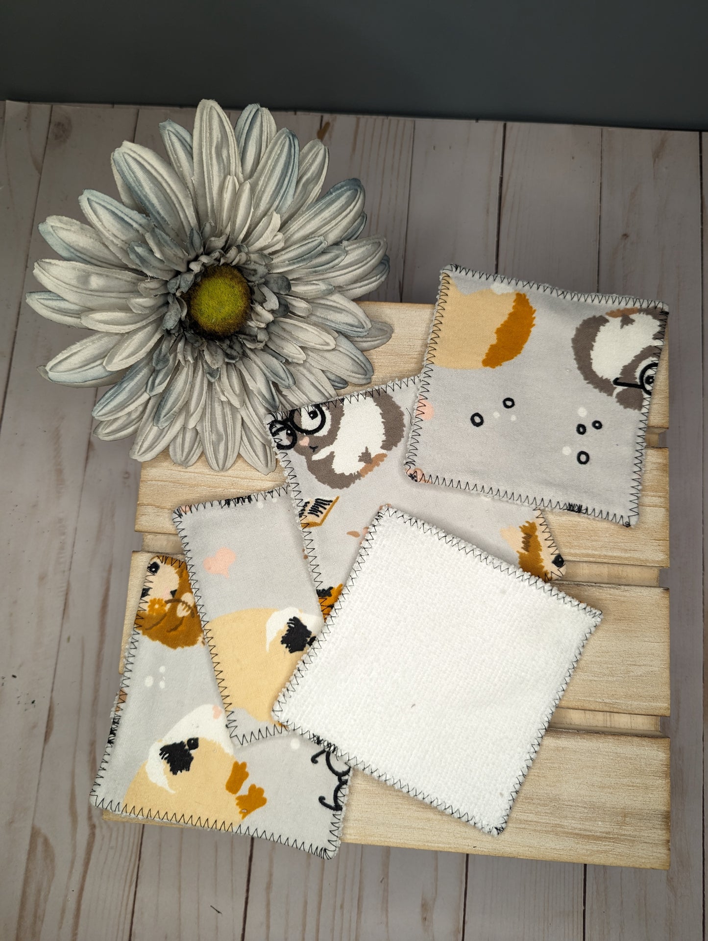 Guinea pig reusable cloths-5 pack