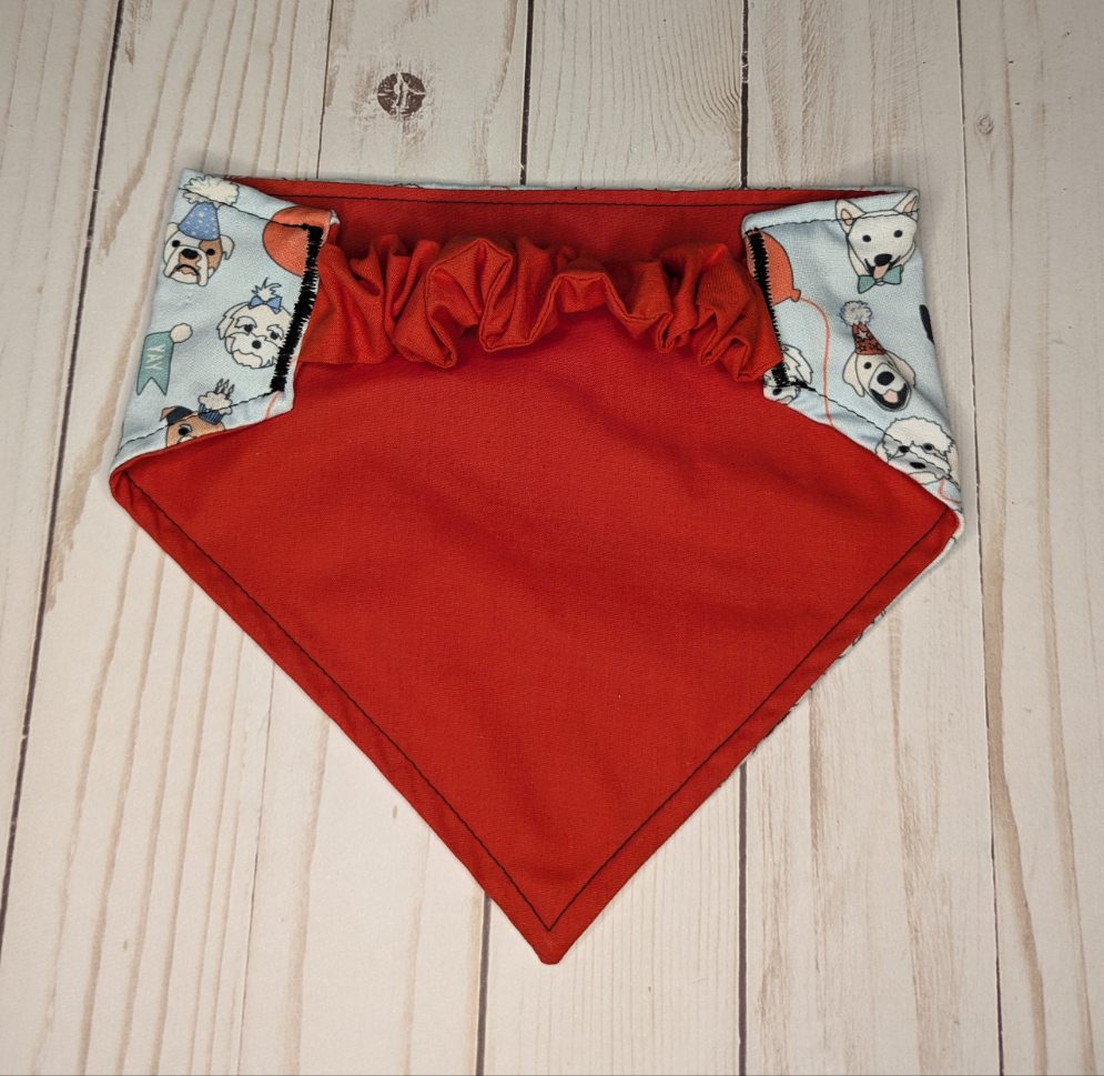 Party Dog Scrunchie bandana