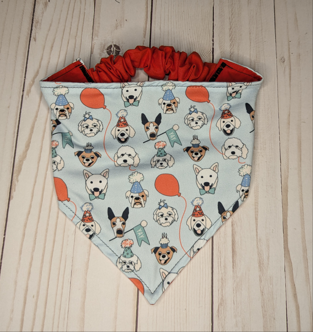 Party Dog Scrunchie bandana