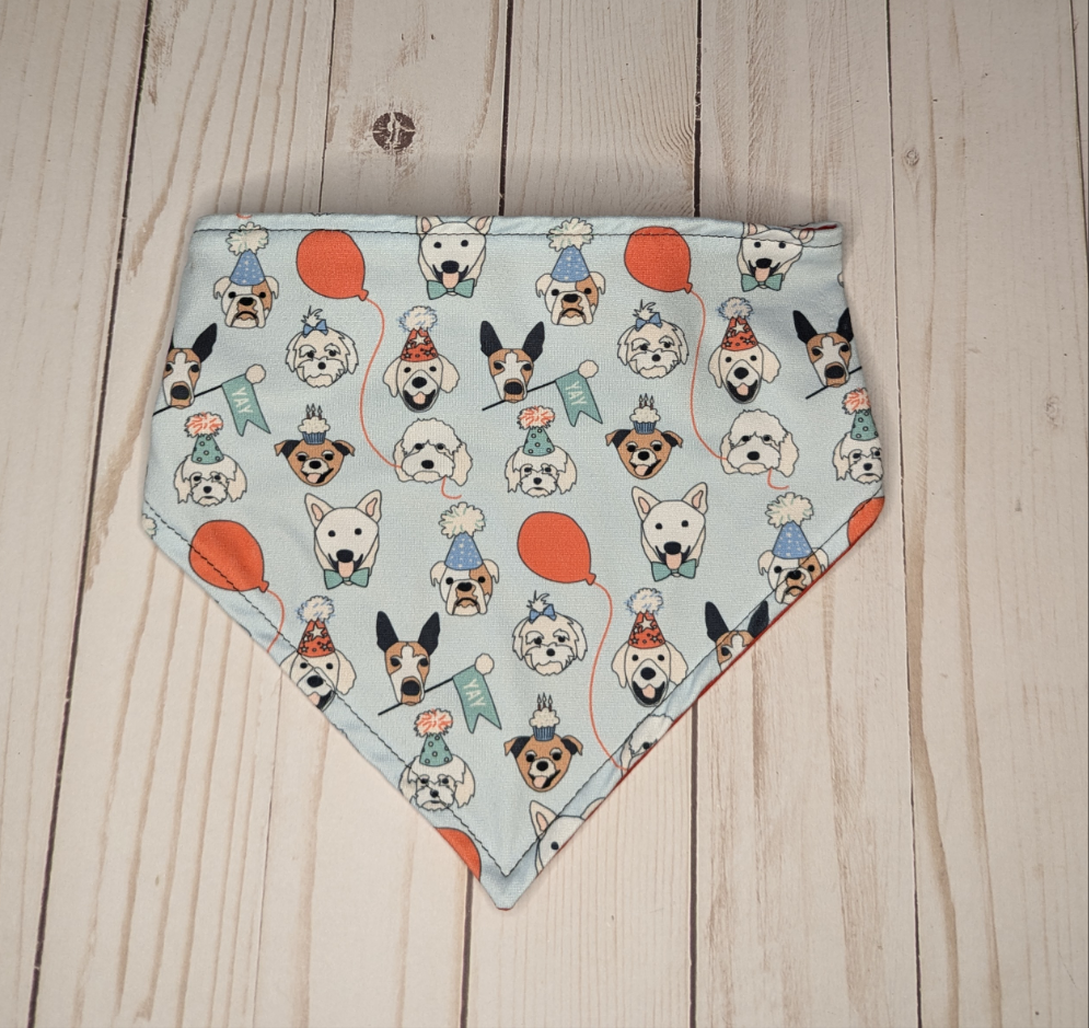 Party Dog Scrunchie bandana