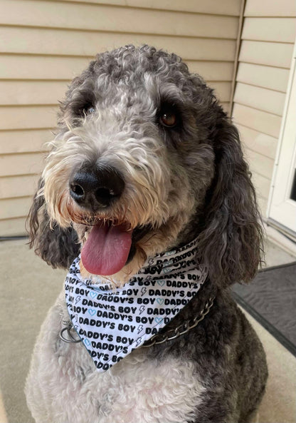 Daddy's Boy Scrunchie bandana