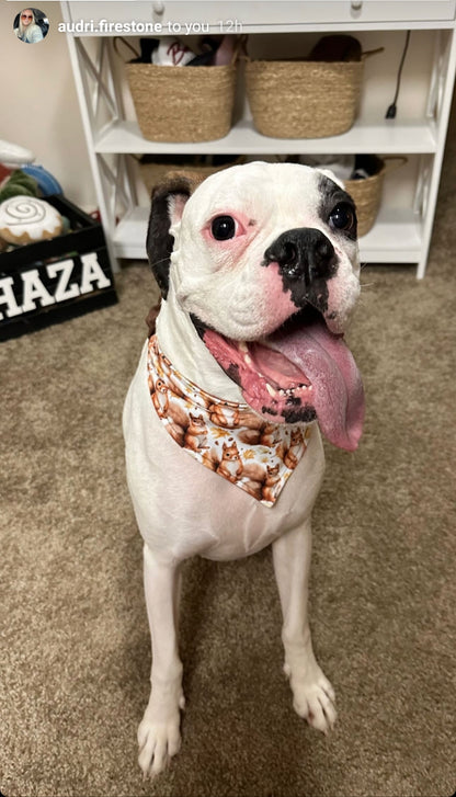 Squirrel Scrunchie bandana