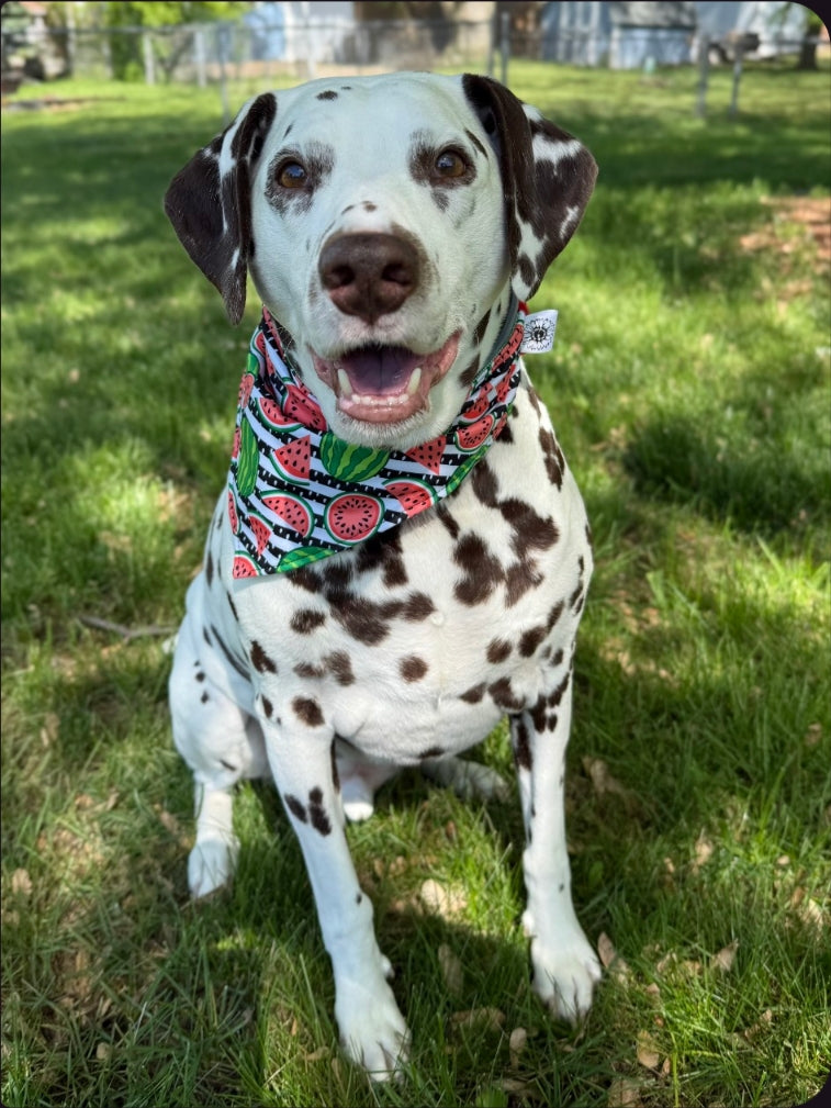 Watermelon stripes Scrunchie Bandana-Reversible