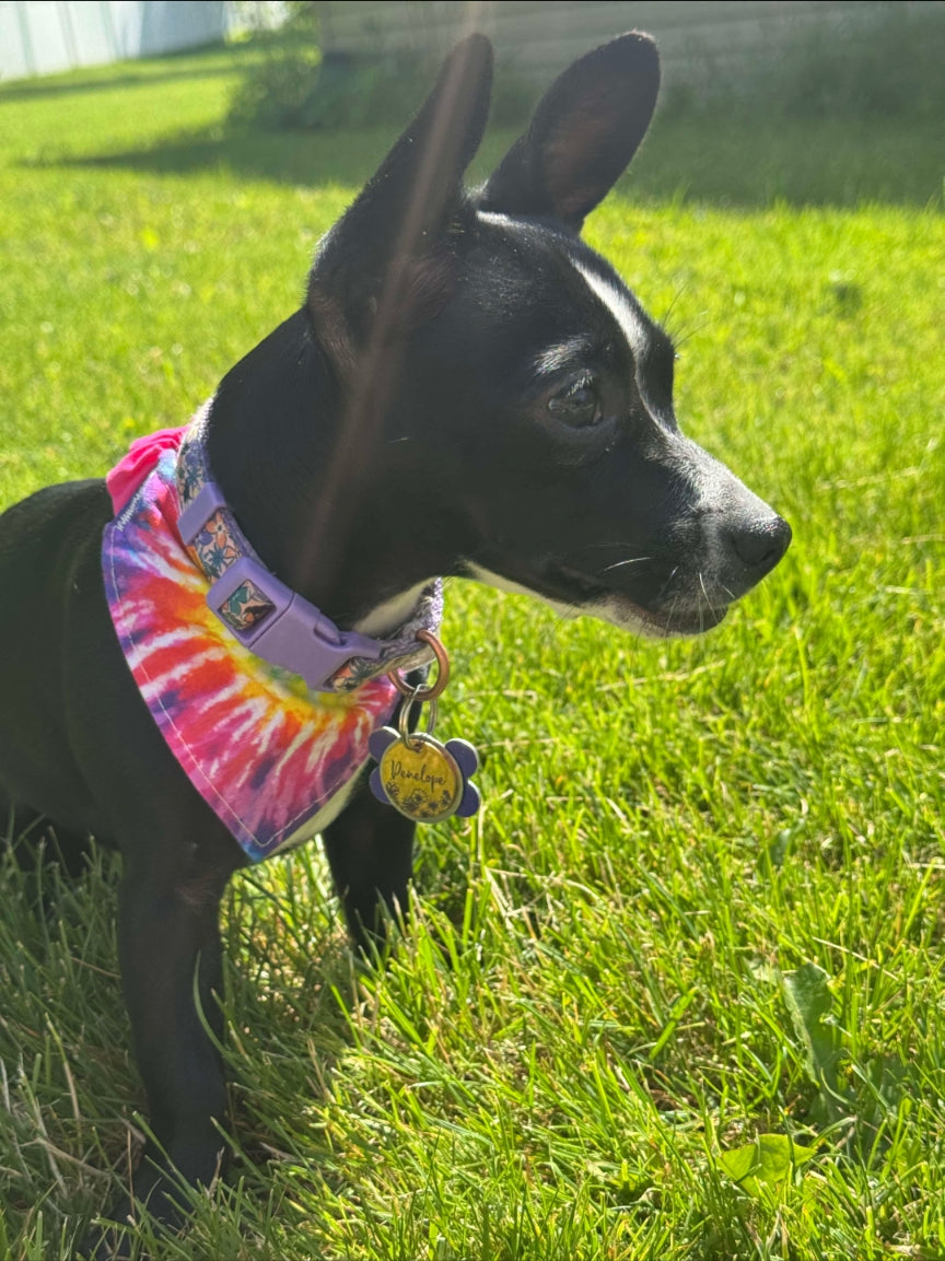 Tie-Dye Paws Scrunchie Bandana-reversible