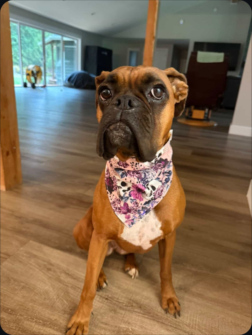 Floral Pink Skull Scrunchie Bandana-Reversible