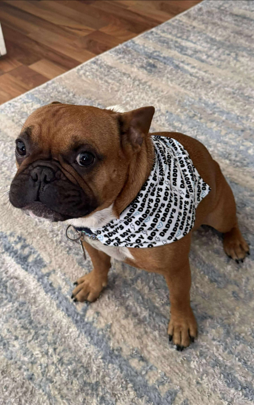 Daddy's Boy Scrunchie bandana