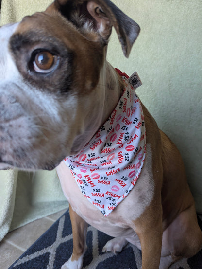25¢ Kisses Valentine's Day Scrunchie Pet Bandana