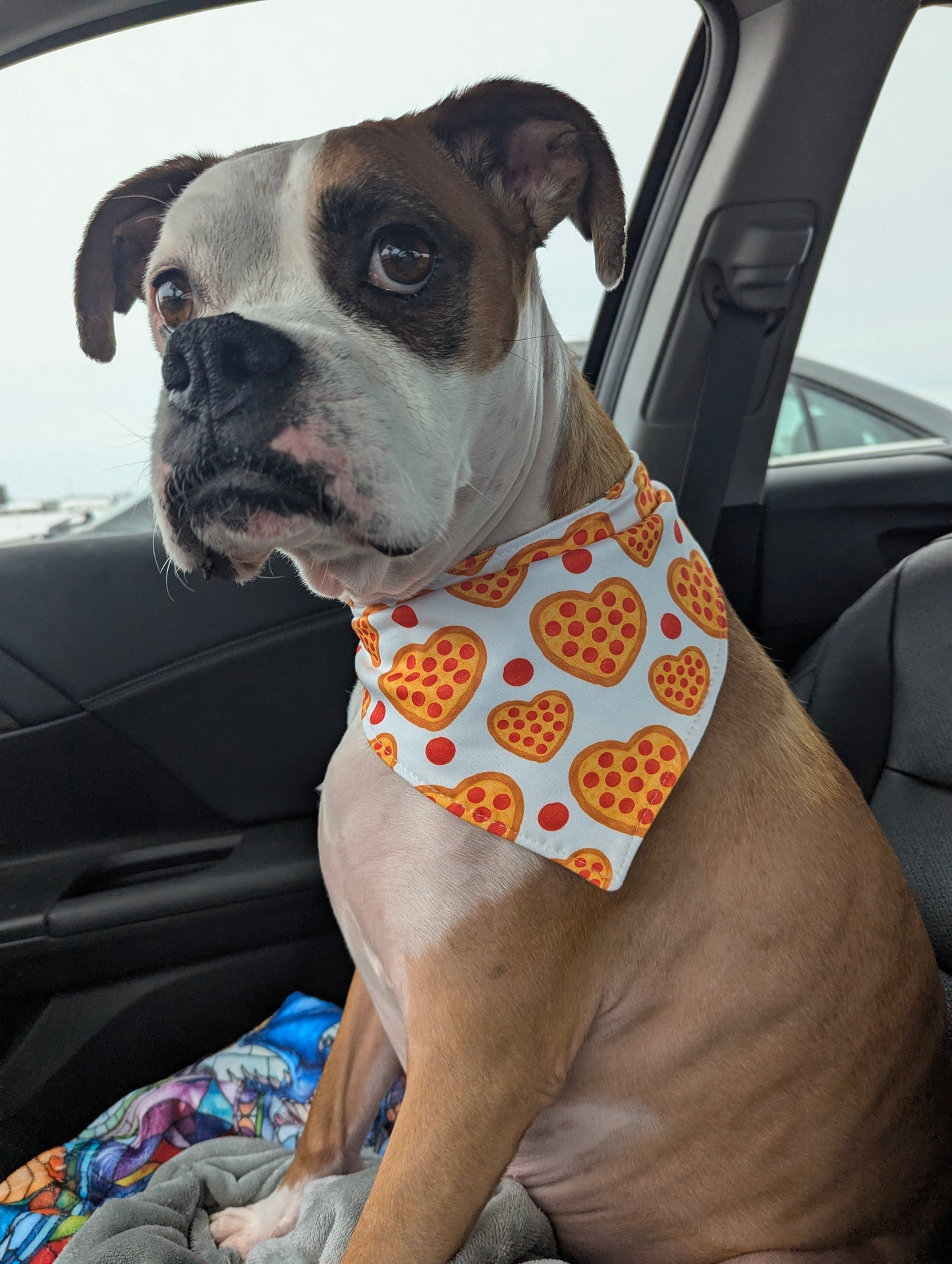 Pizza my Heart Scrunchie Bandana-reversible