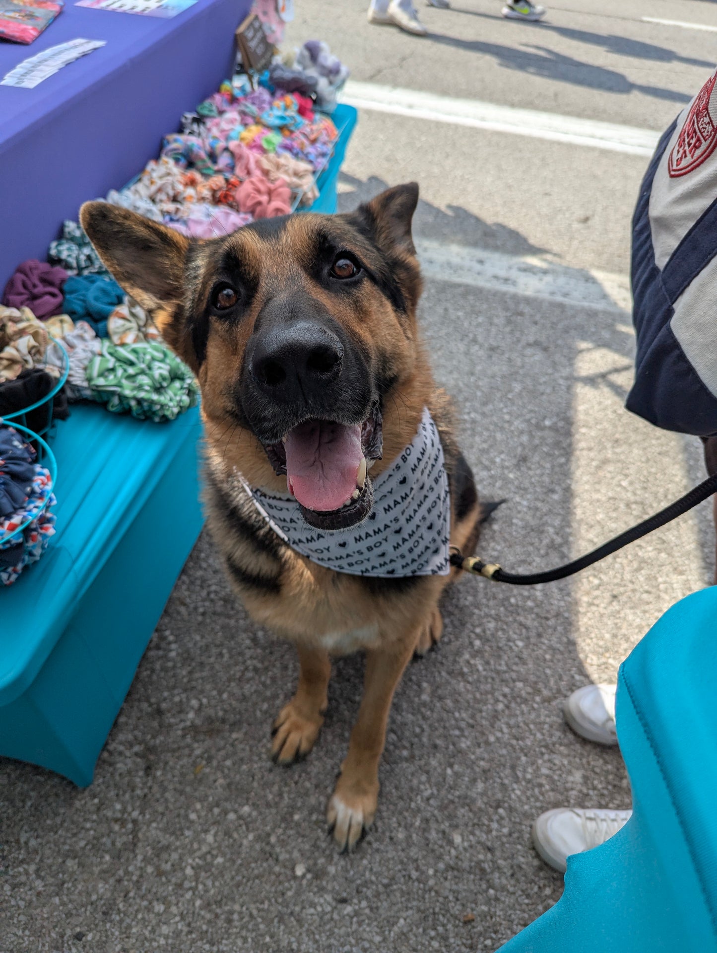 Mama's Boy Scrunchie bandana