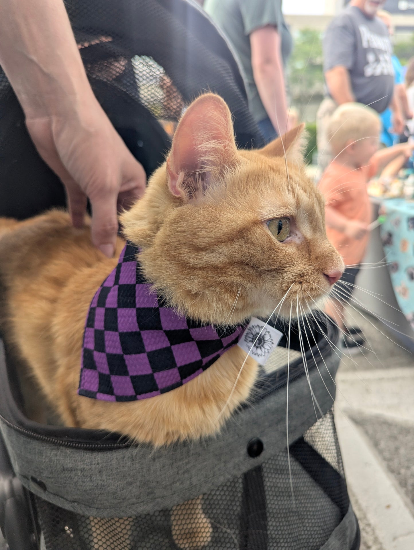 Purple checkers Scrunchie Pet Bandana