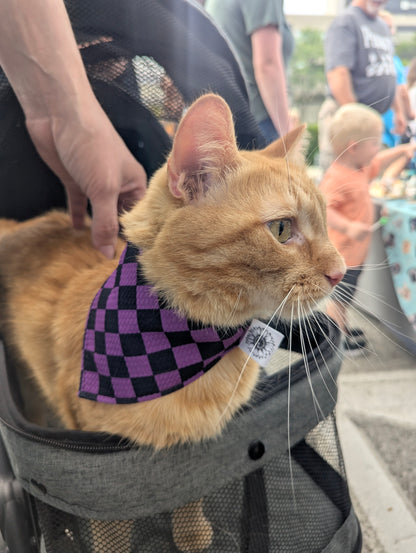 Purple checkers Scrunchie Pet Bandana