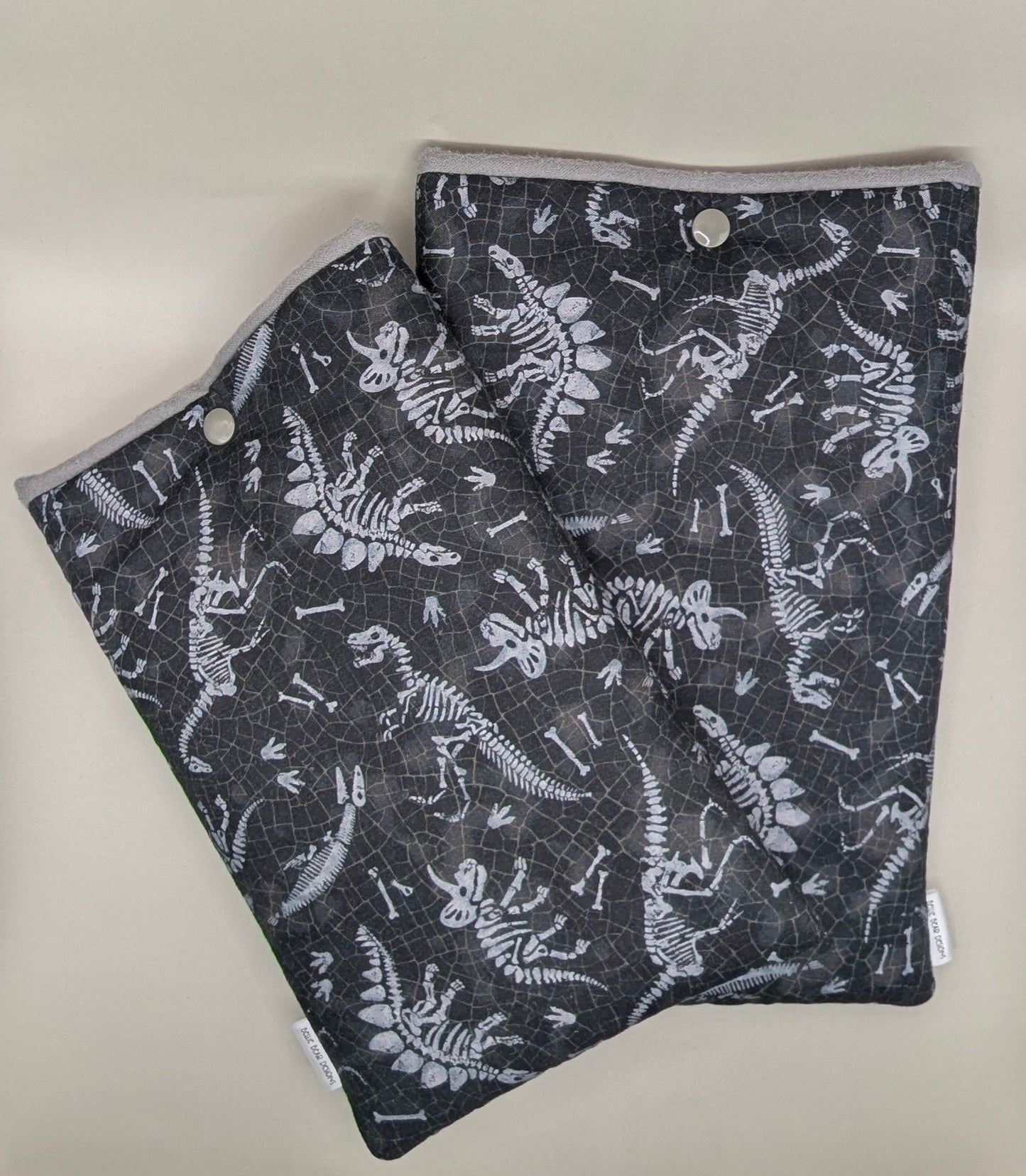 Dino Bones reader sleeve