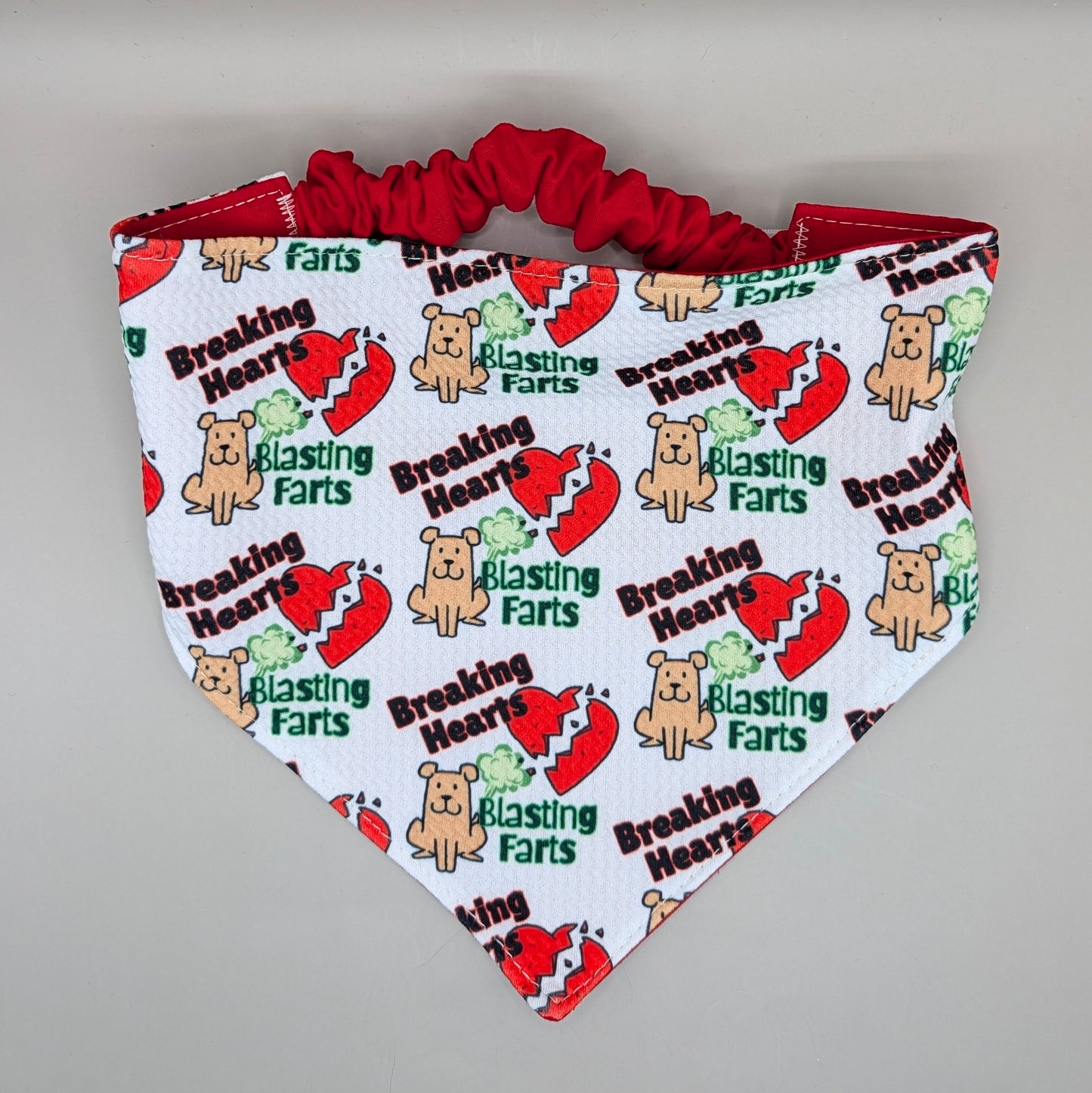 Scrunchie Bandanas (single side)- Blasting Farts