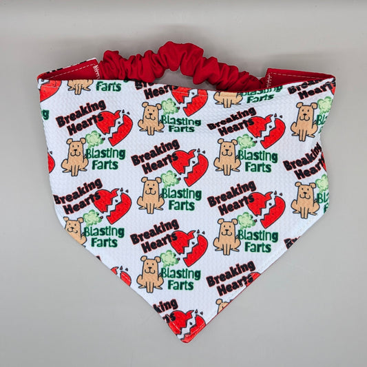 Scrunchie Bandanas (single side)- Blasting Farts